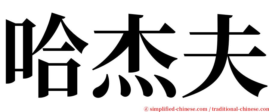 哈杰夫 serif font