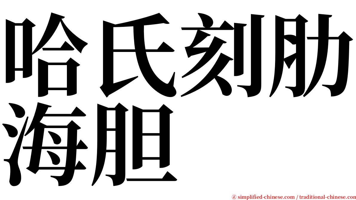 哈氏刻肋海胆 serif font