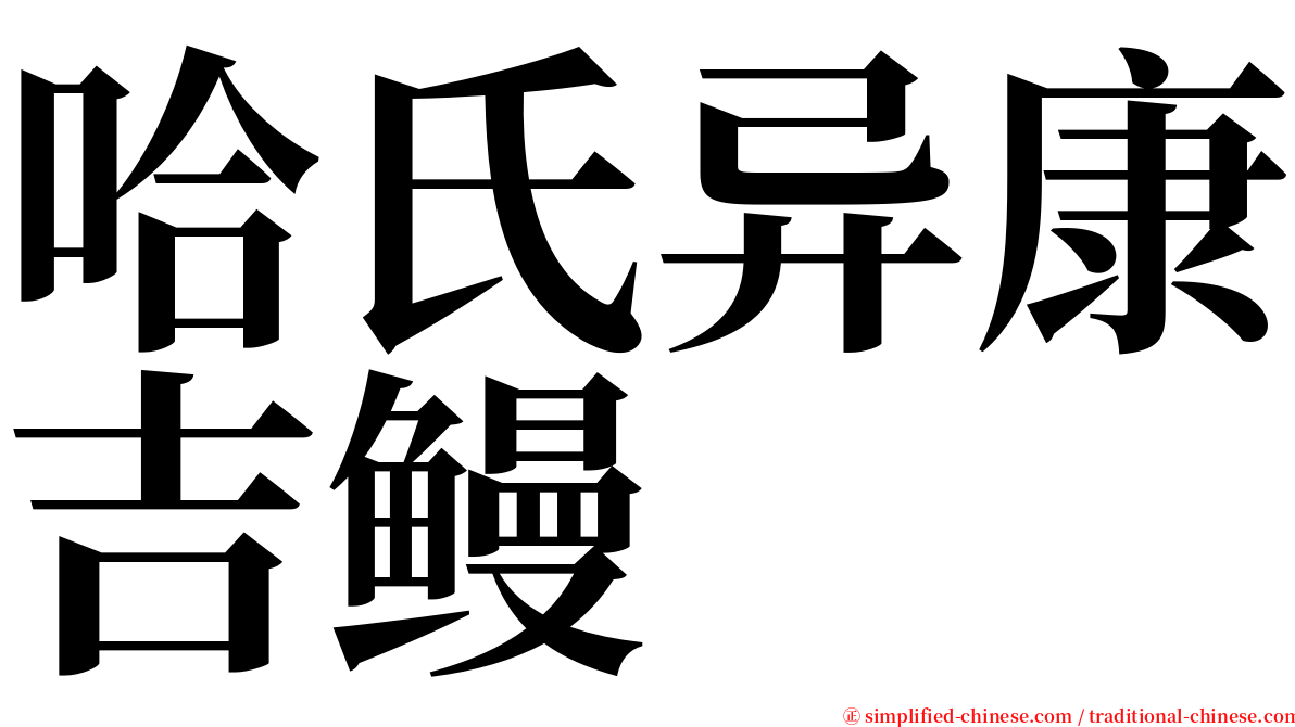 哈氏异康吉鳗 serif font