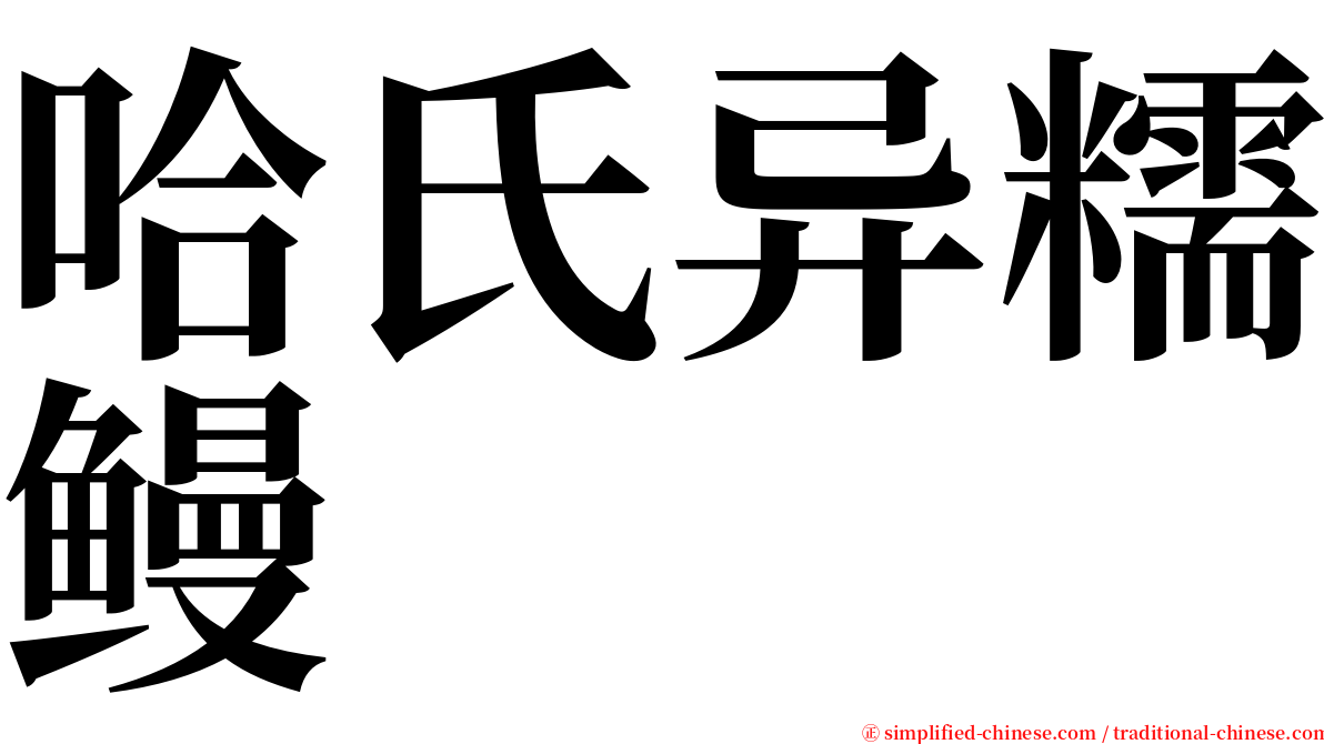 哈氏异糯鳗 serif font