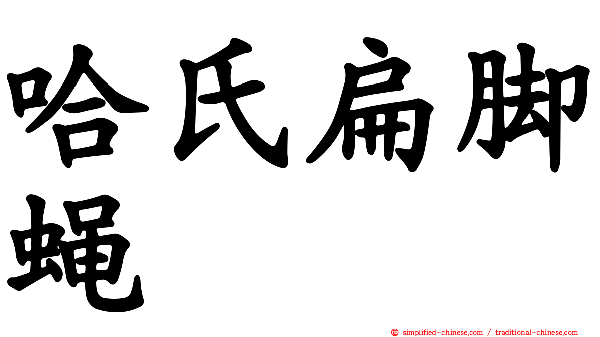 哈氏扁脚蝇
