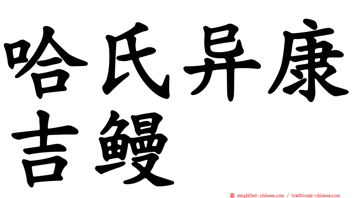 哈氏异康吉鳗