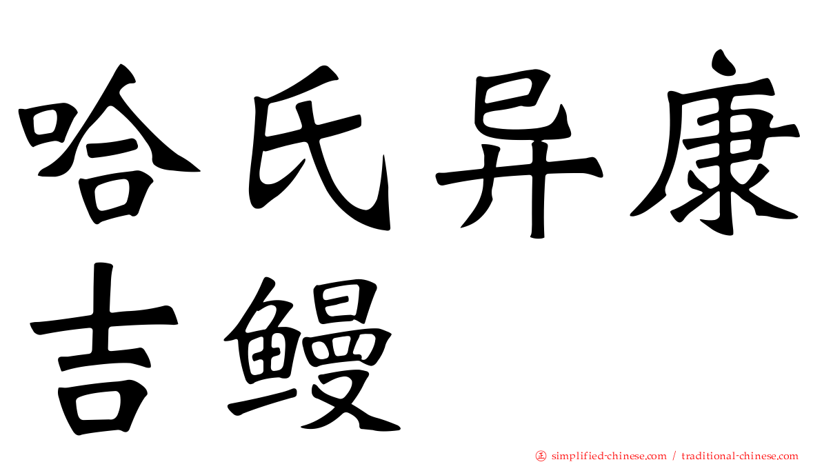 哈氏异康吉鳗