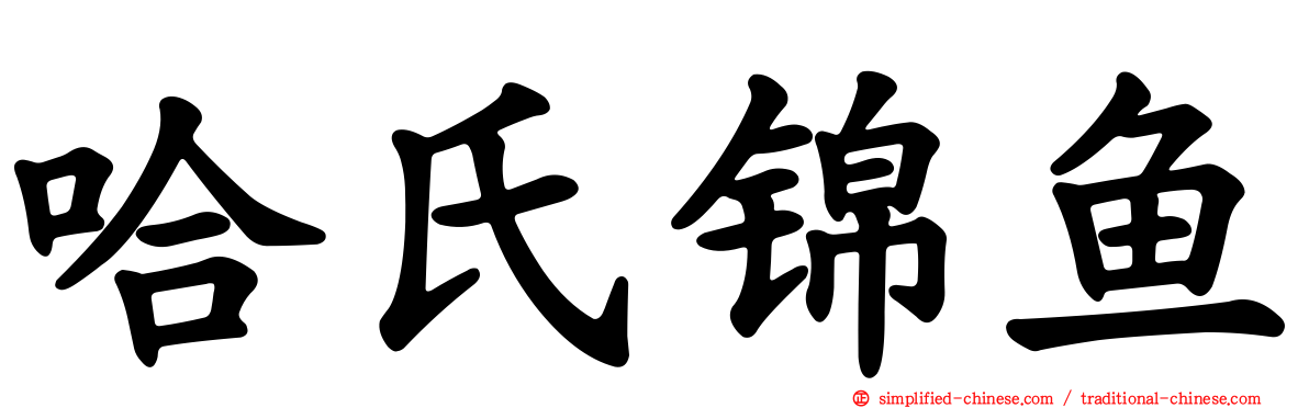 哈氏锦鱼