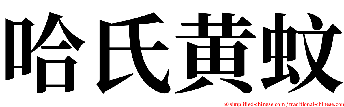 哈氏黄蚊 serif font