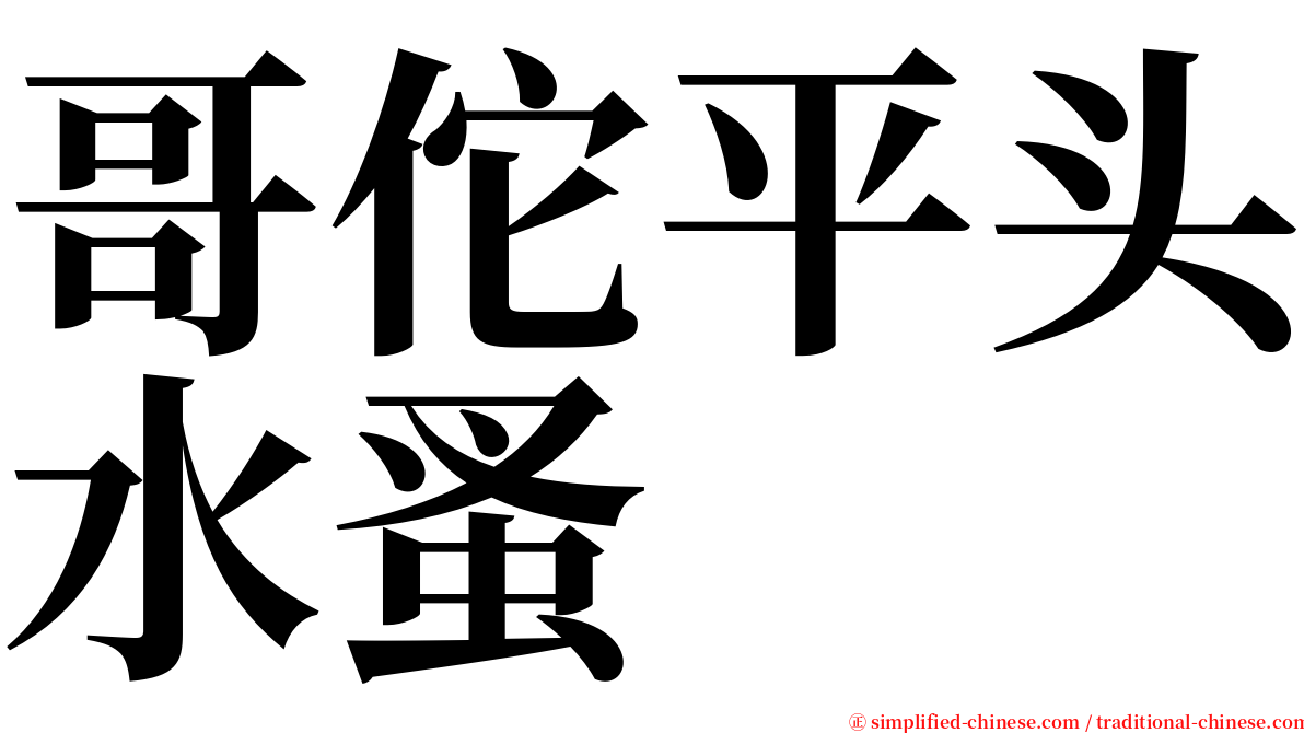 哥佗平头水蚤 serif font