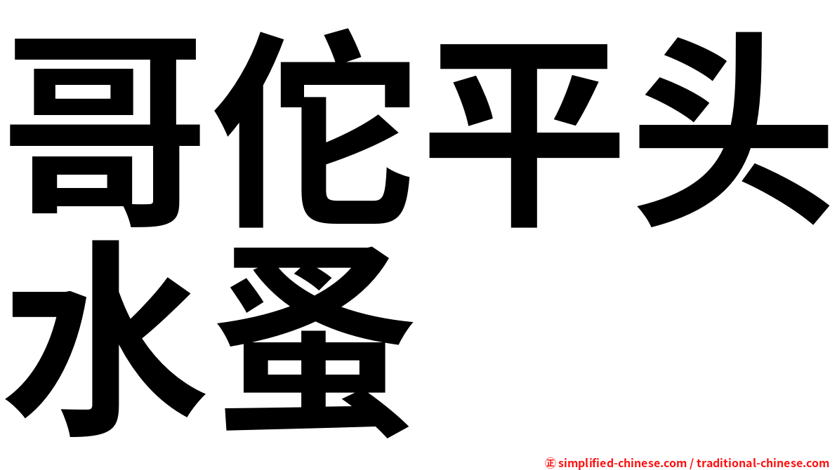 哥佗平头水蚤