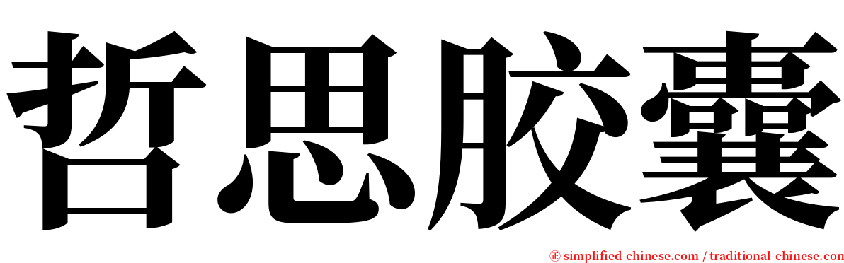 哲思胶囊 serif font