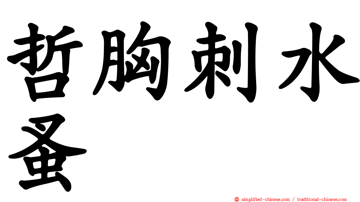 哲胸刺水蚤