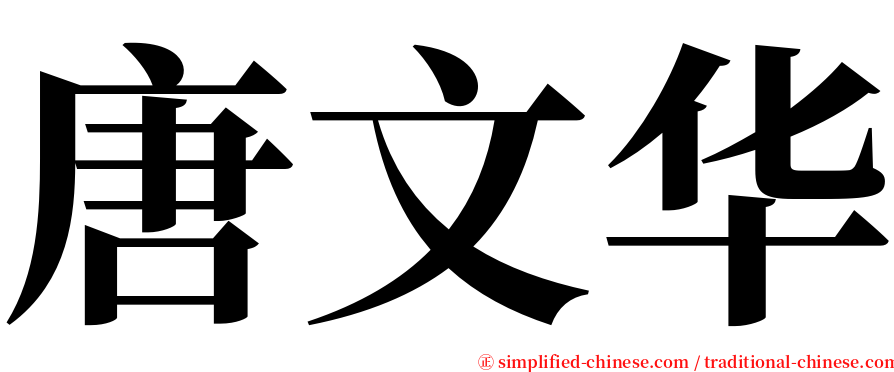 唐文华 serif font