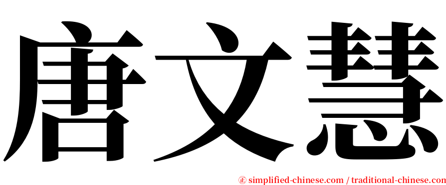 唐文慧 serif font