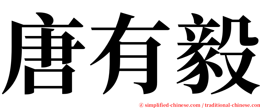 唐有毅 serif font