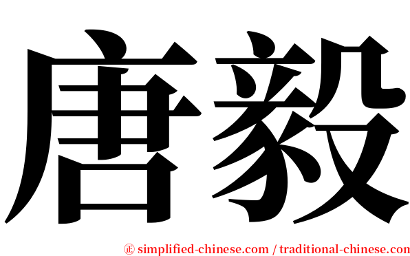 唐毅 serif font