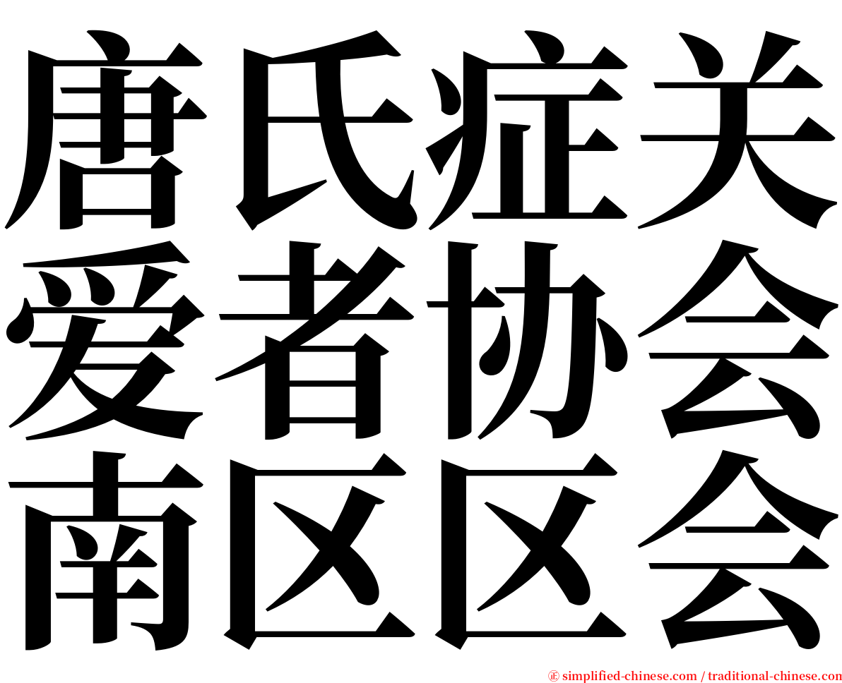 唐氏症关爱者协会南区区会 serif font