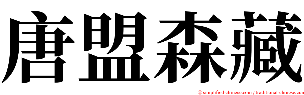 唐盟森藏 serif font
