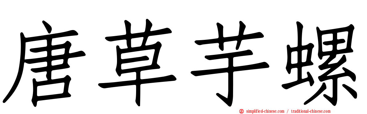 唐草芋螺