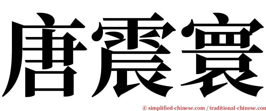 唐震寰 serif font