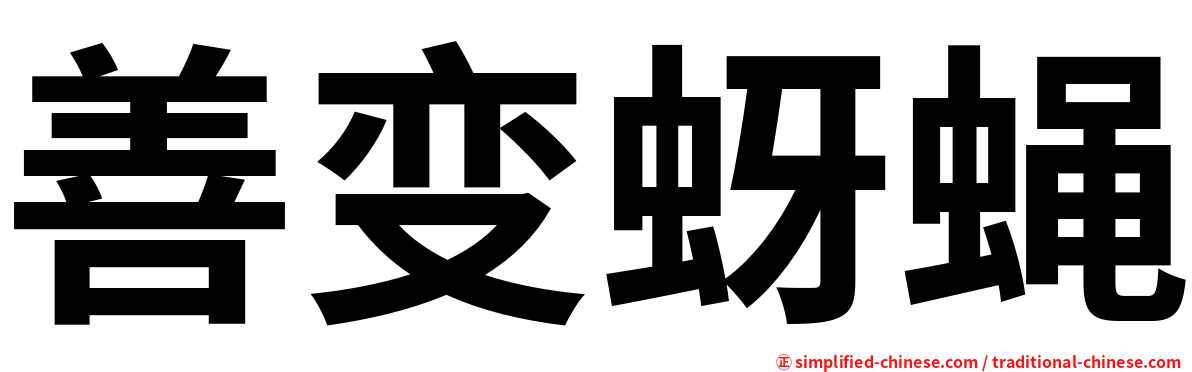 善变蚜蝇