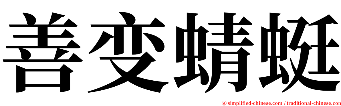 善变蜻蜓 serif font