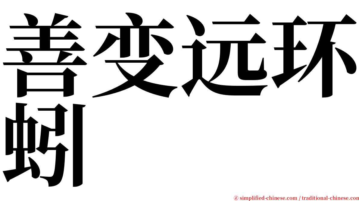 善变远环蚓 serif font