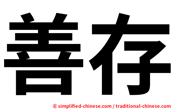 善存