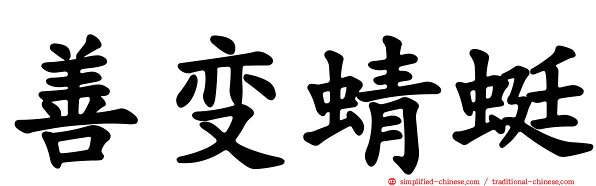 善变蜻蜓