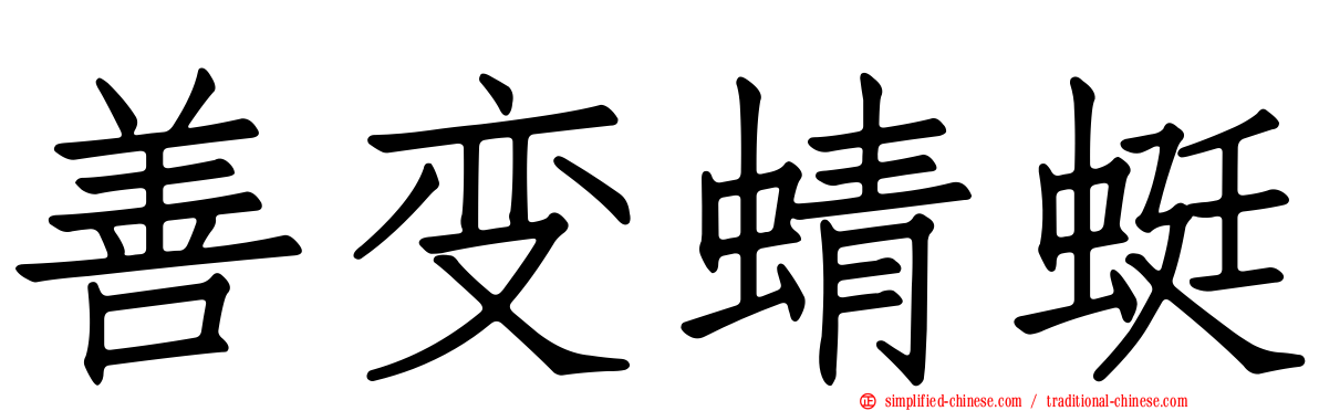 善变蜻蜓