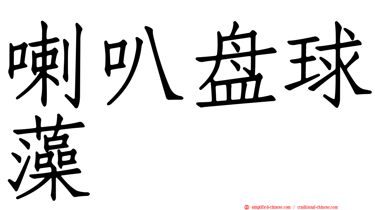 喇叭盘球藻
