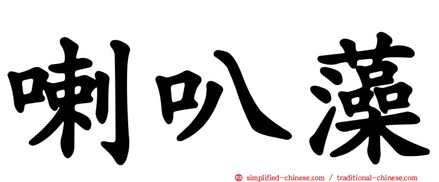 喇叭藻