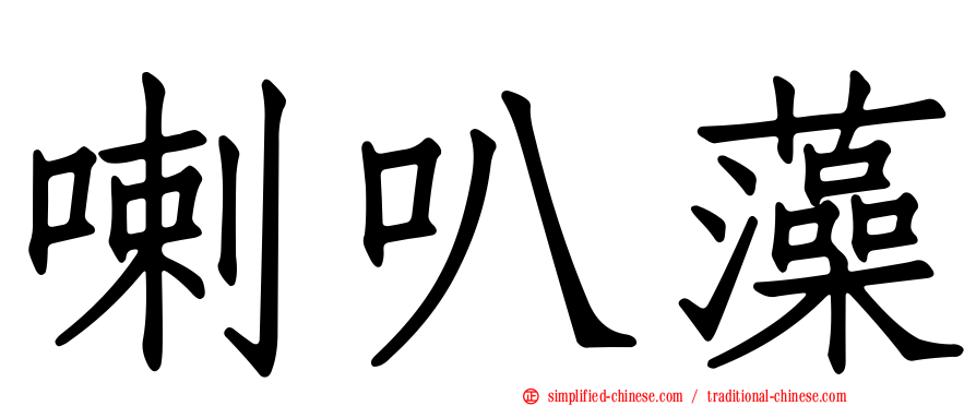 喇叭藻
