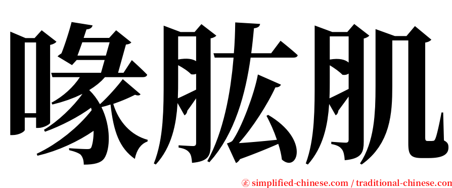 喙肱肌 serif font