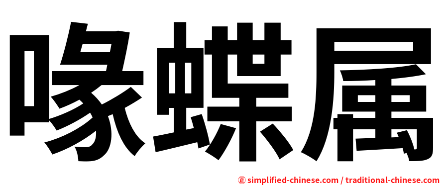 喙蝶属