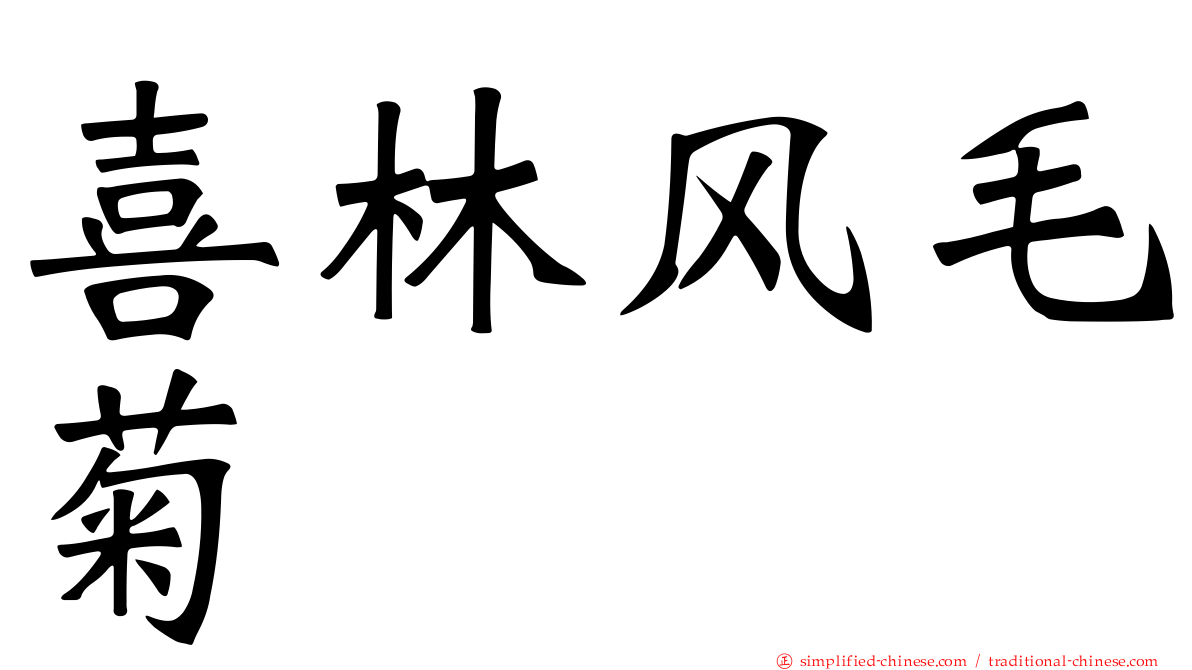 喜林风毛菊