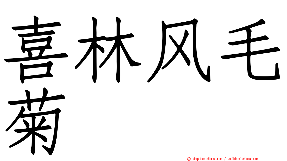 喜林风毛菊