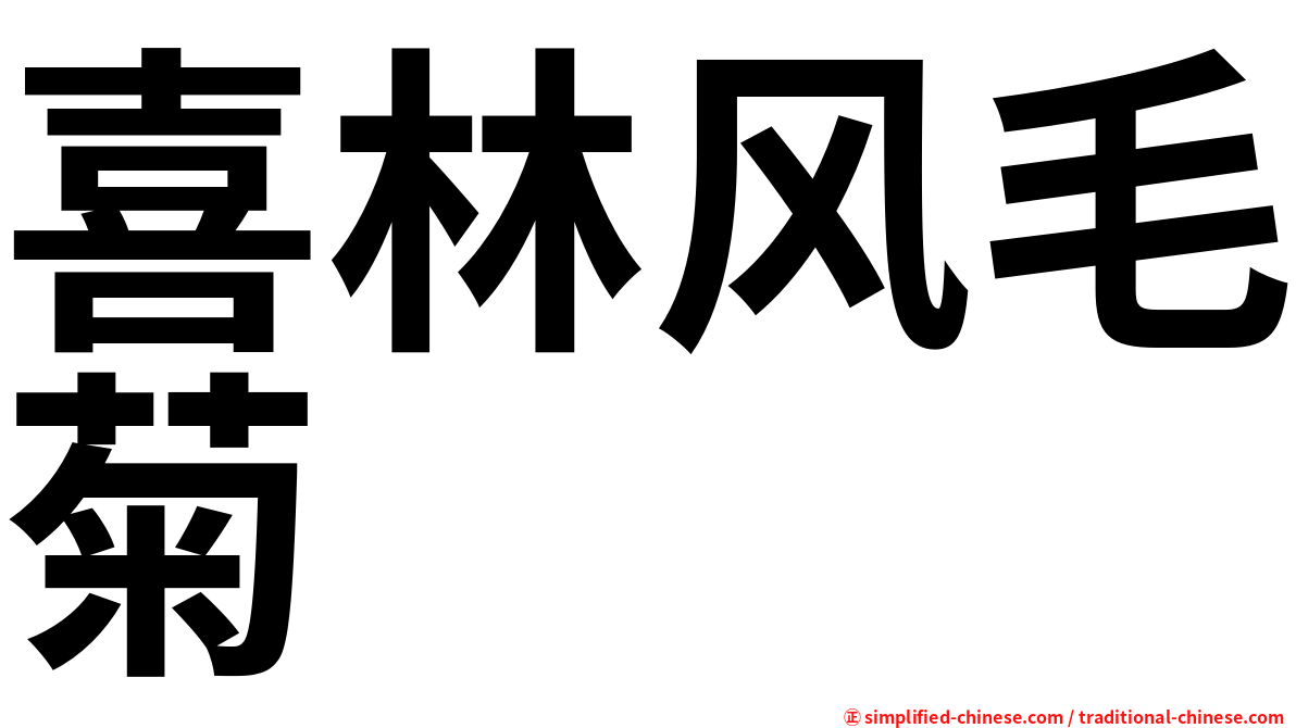喜林风毛菊