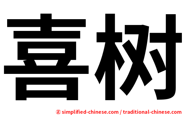 喜树