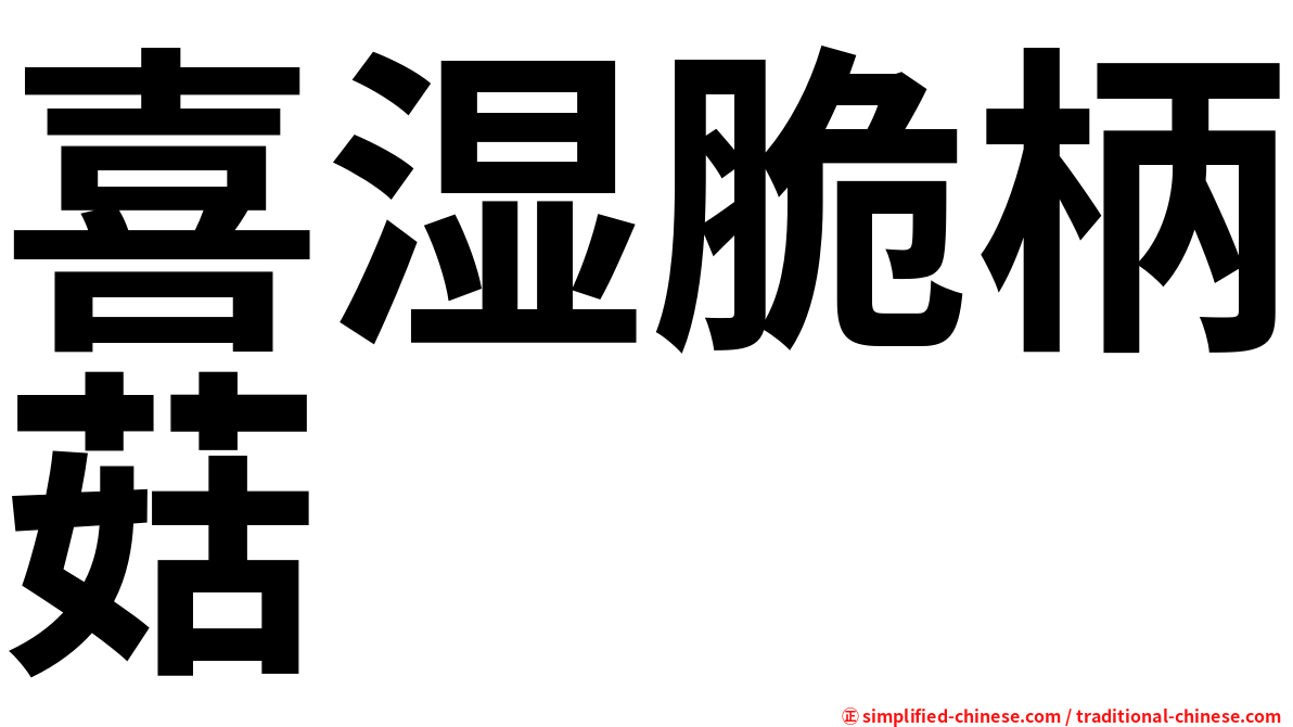 喜湿脆柄菇