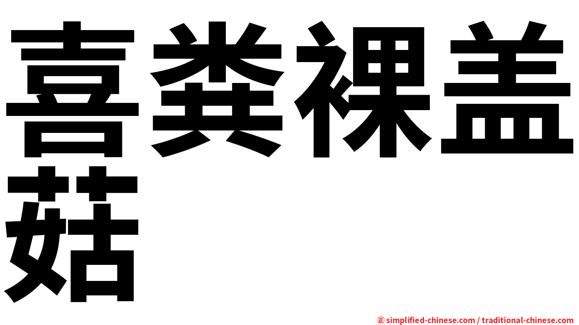 喜粪裸盖菇