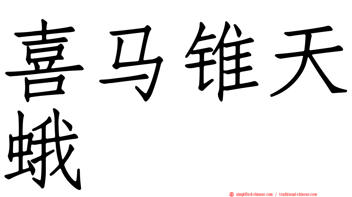 喜马锥天蛾