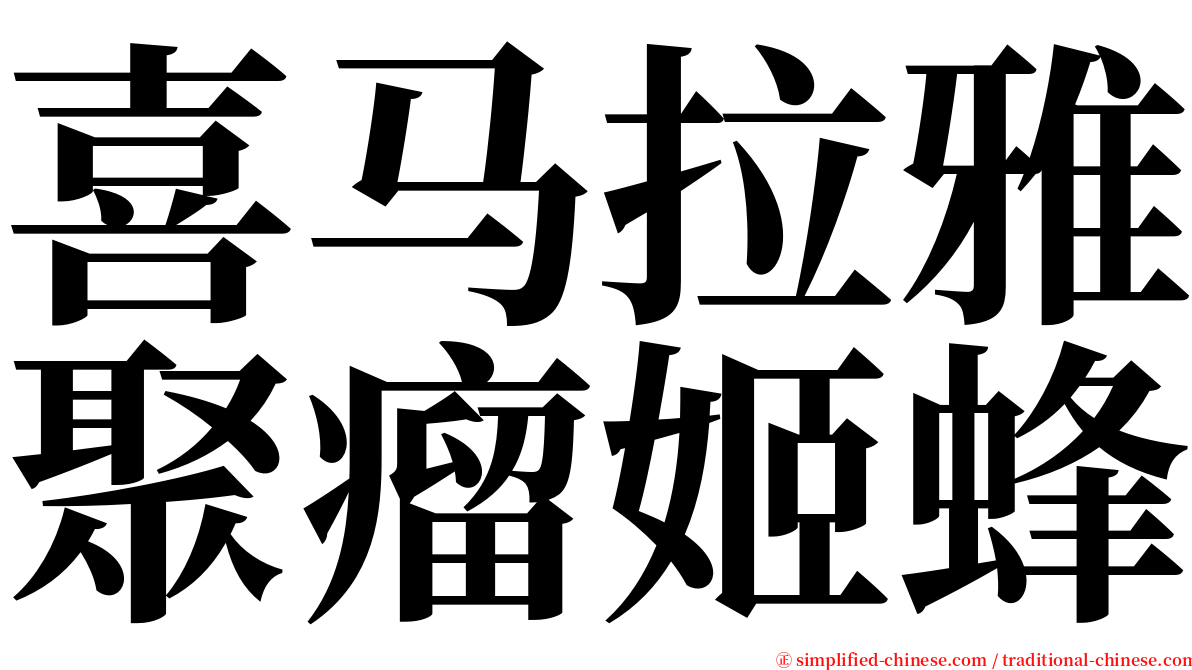 喜马拉雅聚瘤姬蜂 serif font
