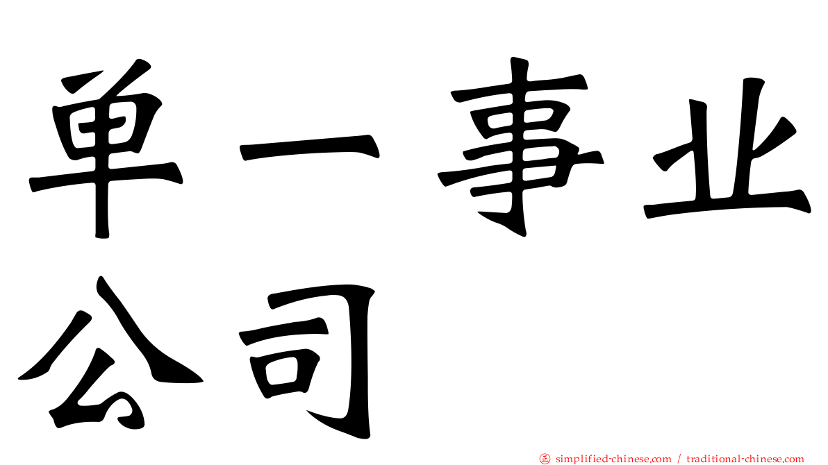 单一事业公司