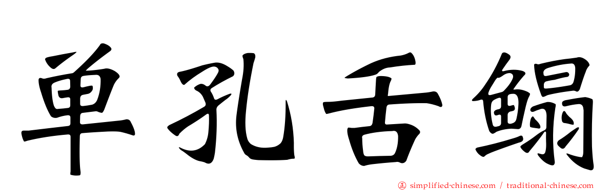 单孔舌鳎
