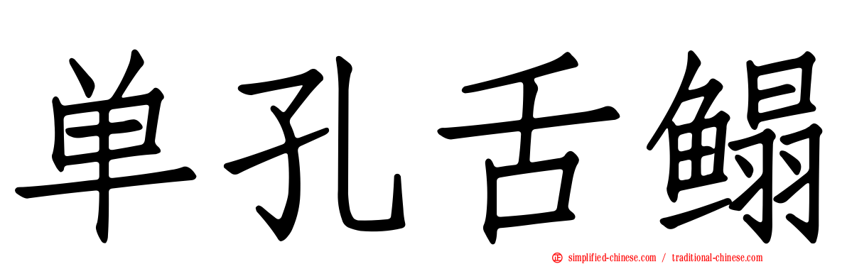 单孔舌鳎