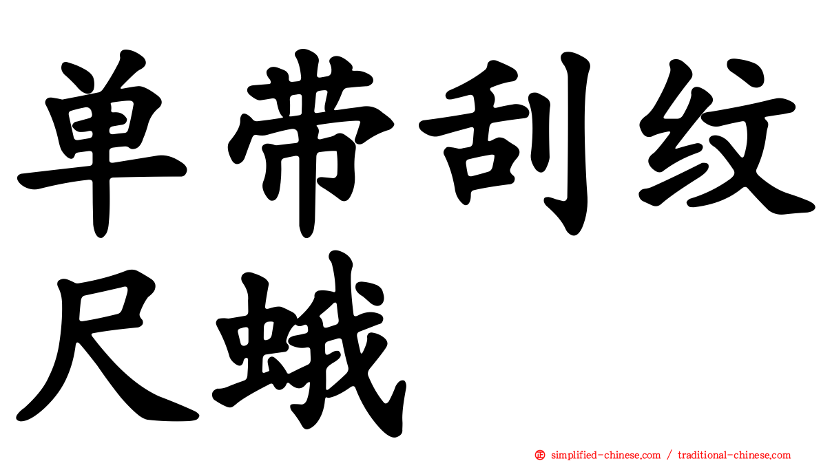 单带刮纹尺蛾