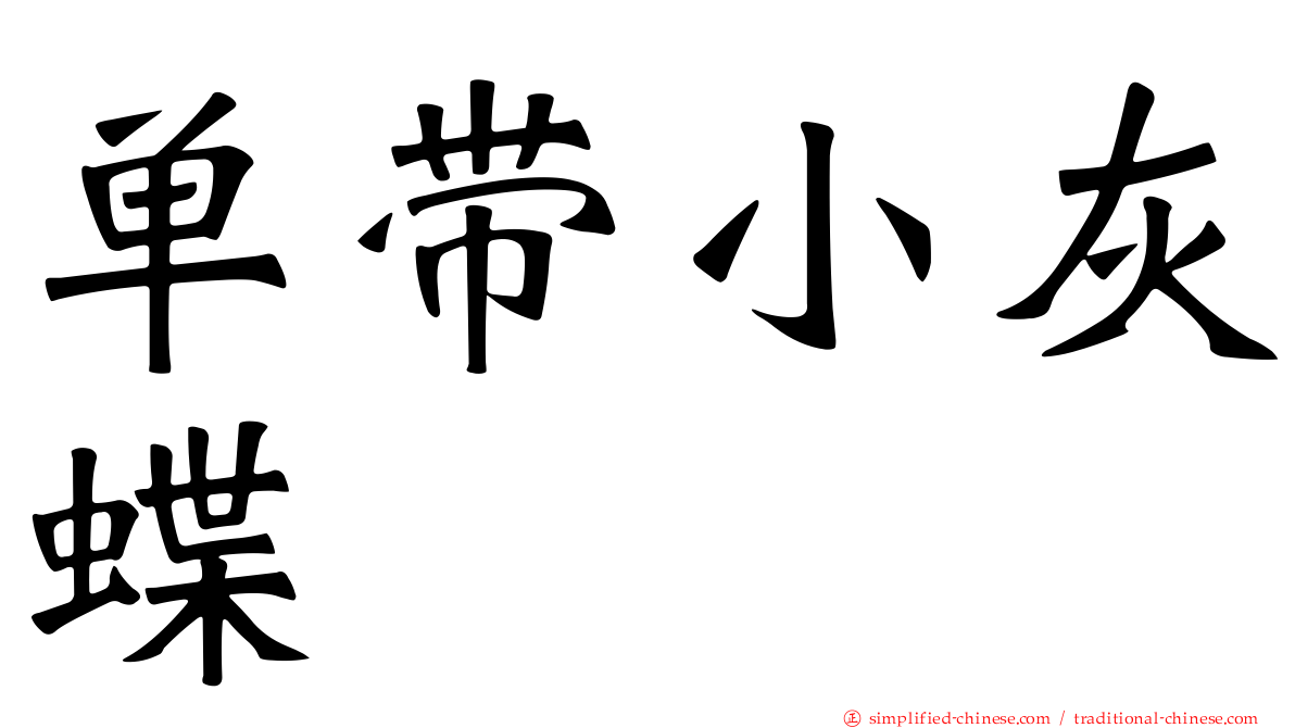 单带小灰蝶