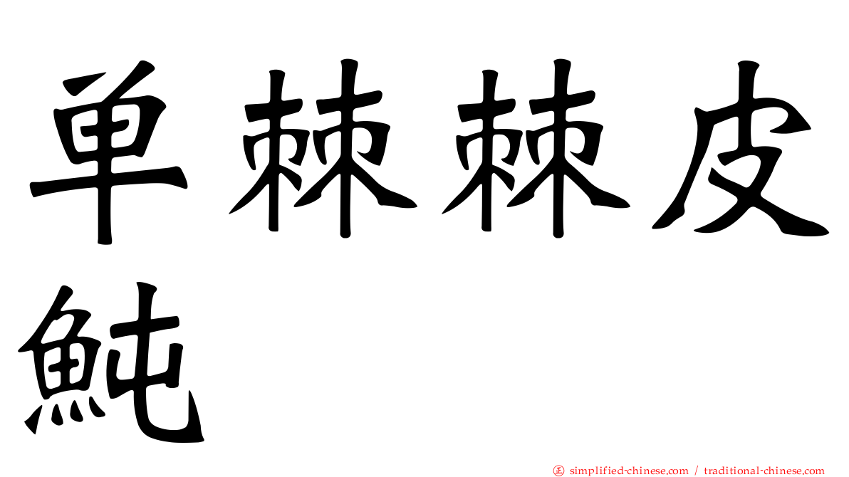 单棘棘皮鲀