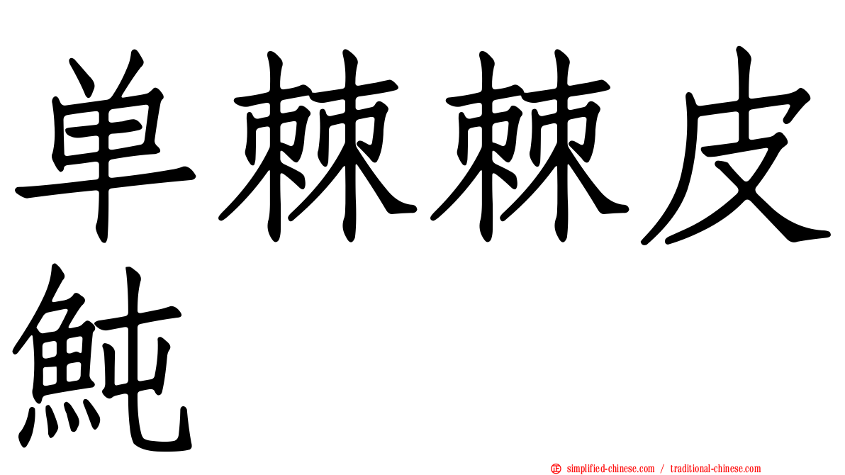 单棘棘皮鲀