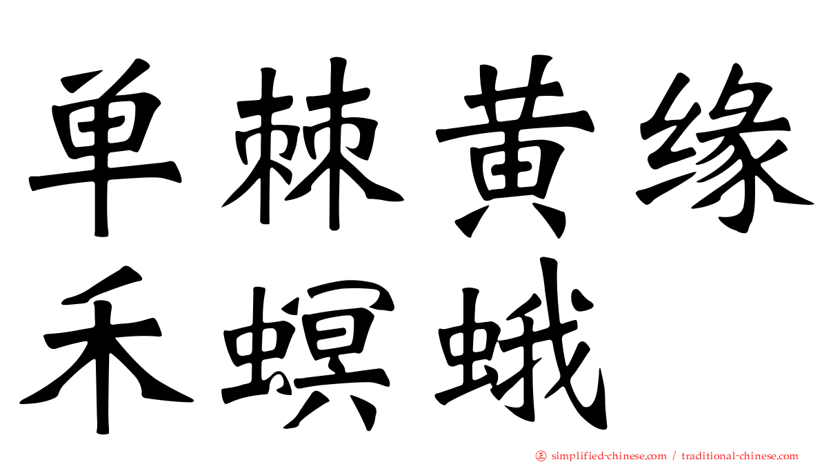 单棘黄缘禾螟蛾