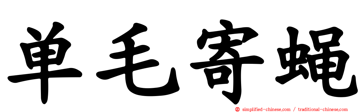 单毛寄蝇