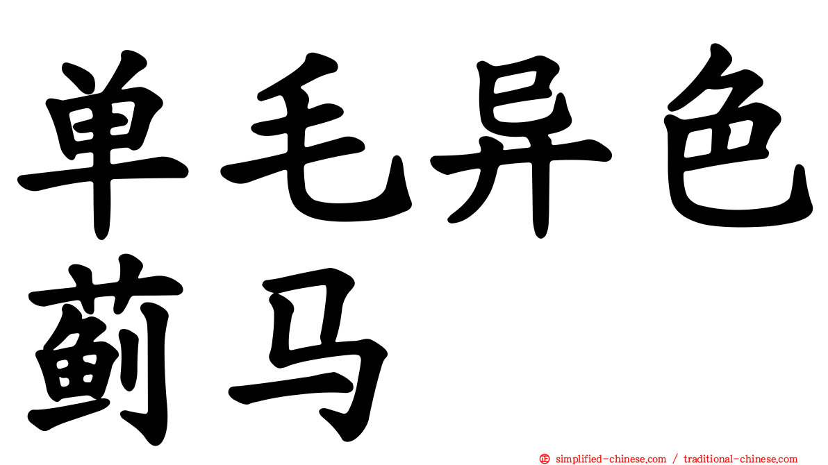单毛异色蓟马